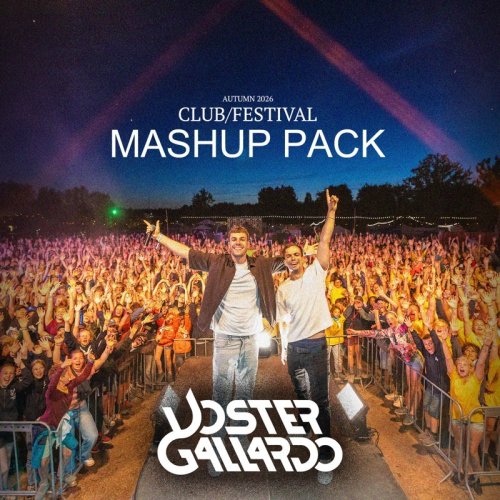 Voster & Gallardo vs Skytech & Vion Konger, R3HAB - Power vs Rhythm of the Night (Voster & Gallardo Mashup)